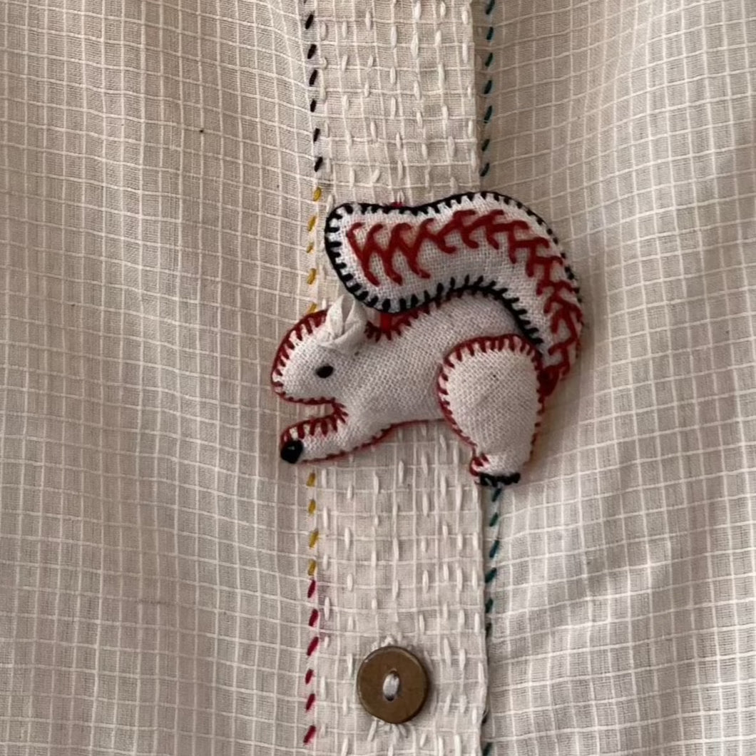 Squirrel